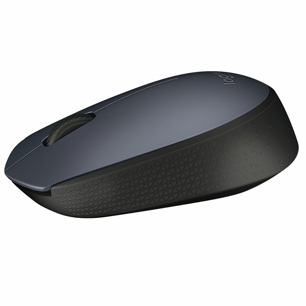 Souris Logitech M170